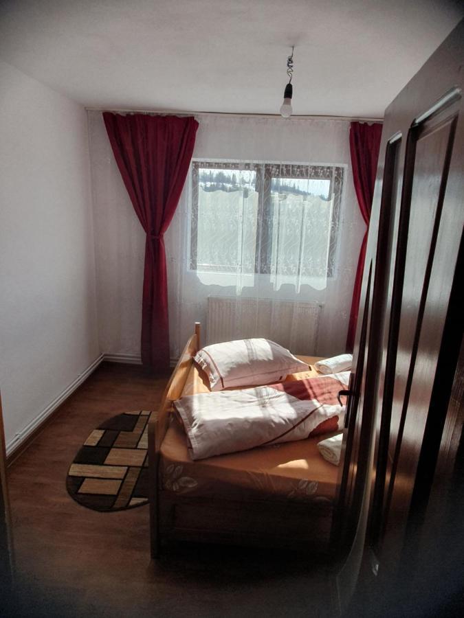 Cabana Georgiana Maria Ghetari エクステリア 写真