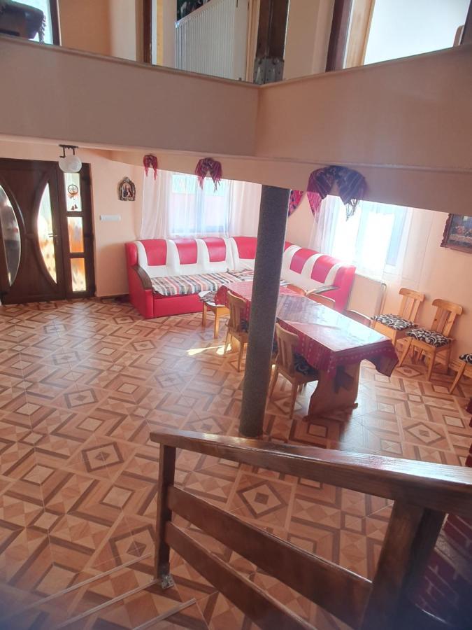 Cabana Georgiana Maria Ghetari エクステリア 写真